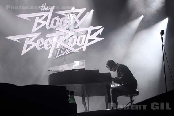 THE BLOODY BEETROOTS - 2013-07-05 - BELFORT - Presqu'ile du Malsaucy - 